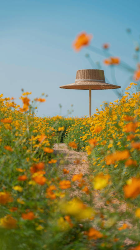 花海中的草帽图片