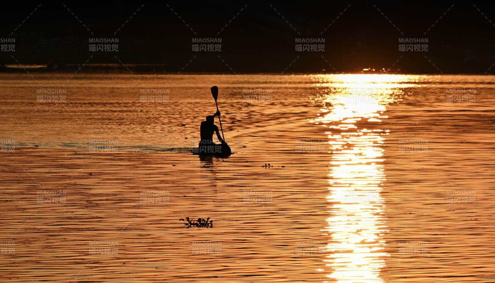 夕阳下的划桨人图片