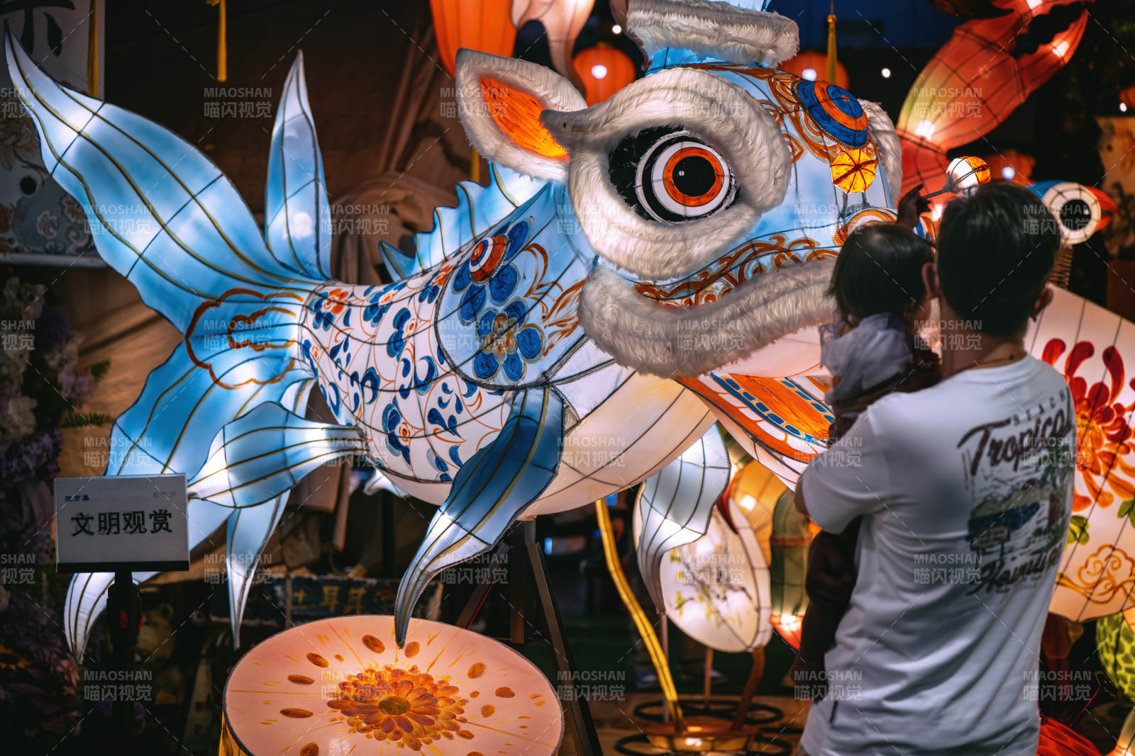 彩灯舞狮迎新春图片