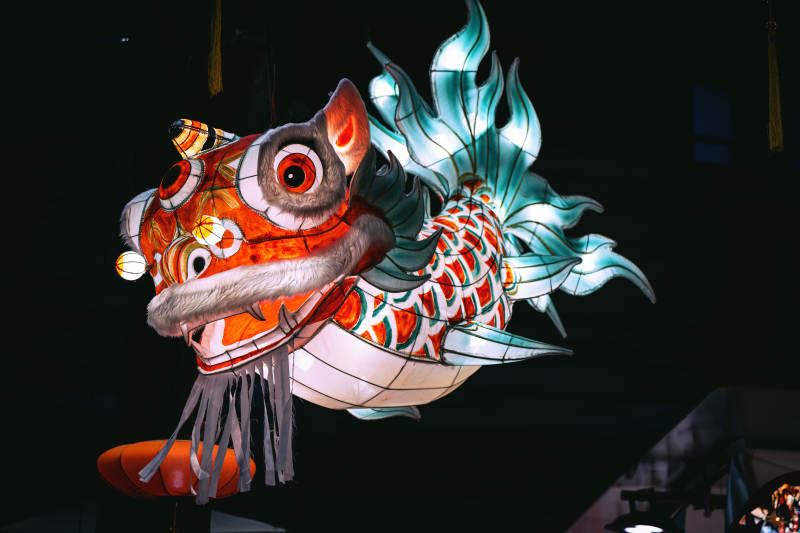 彩灯鱼龙舞图片
