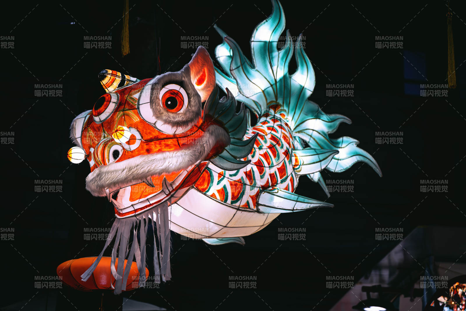 彩灯鱼龙舞图片