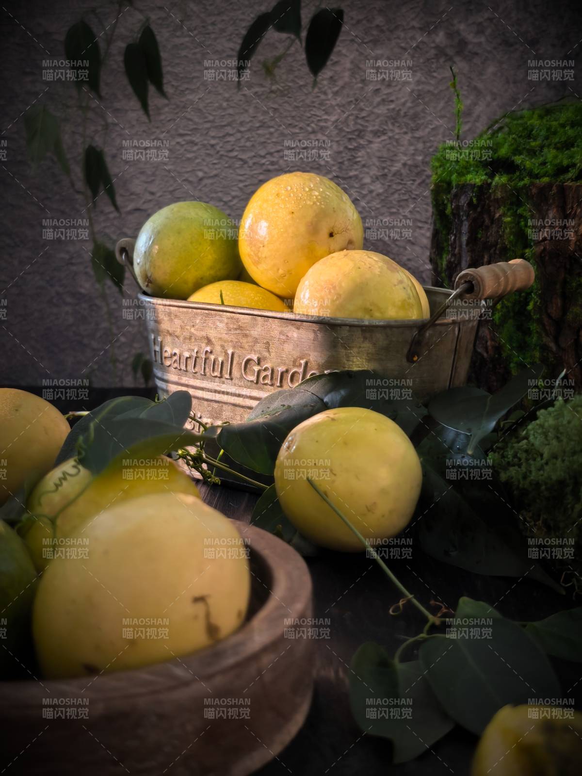 百香果静谧图图片