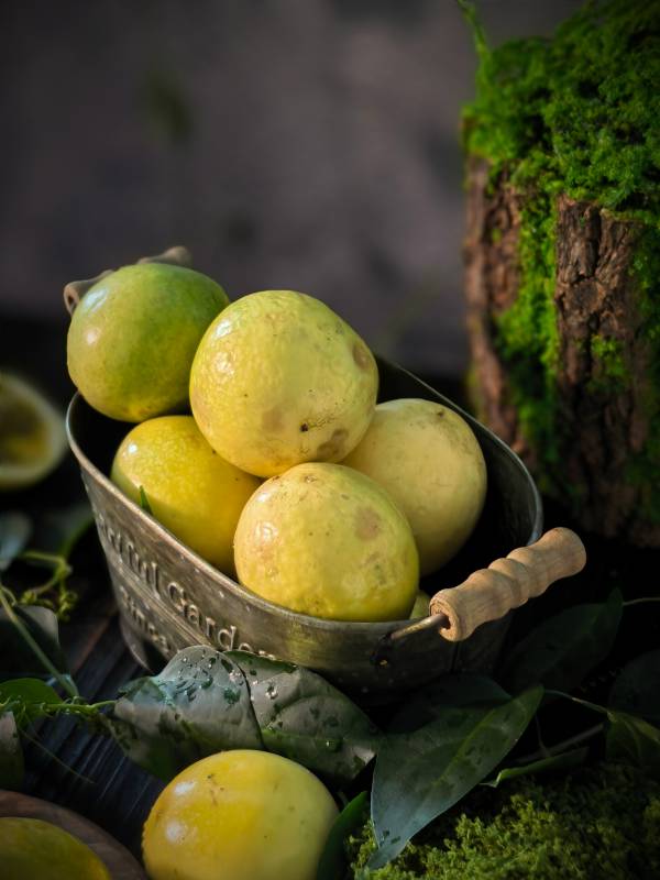 百香果静物图图片