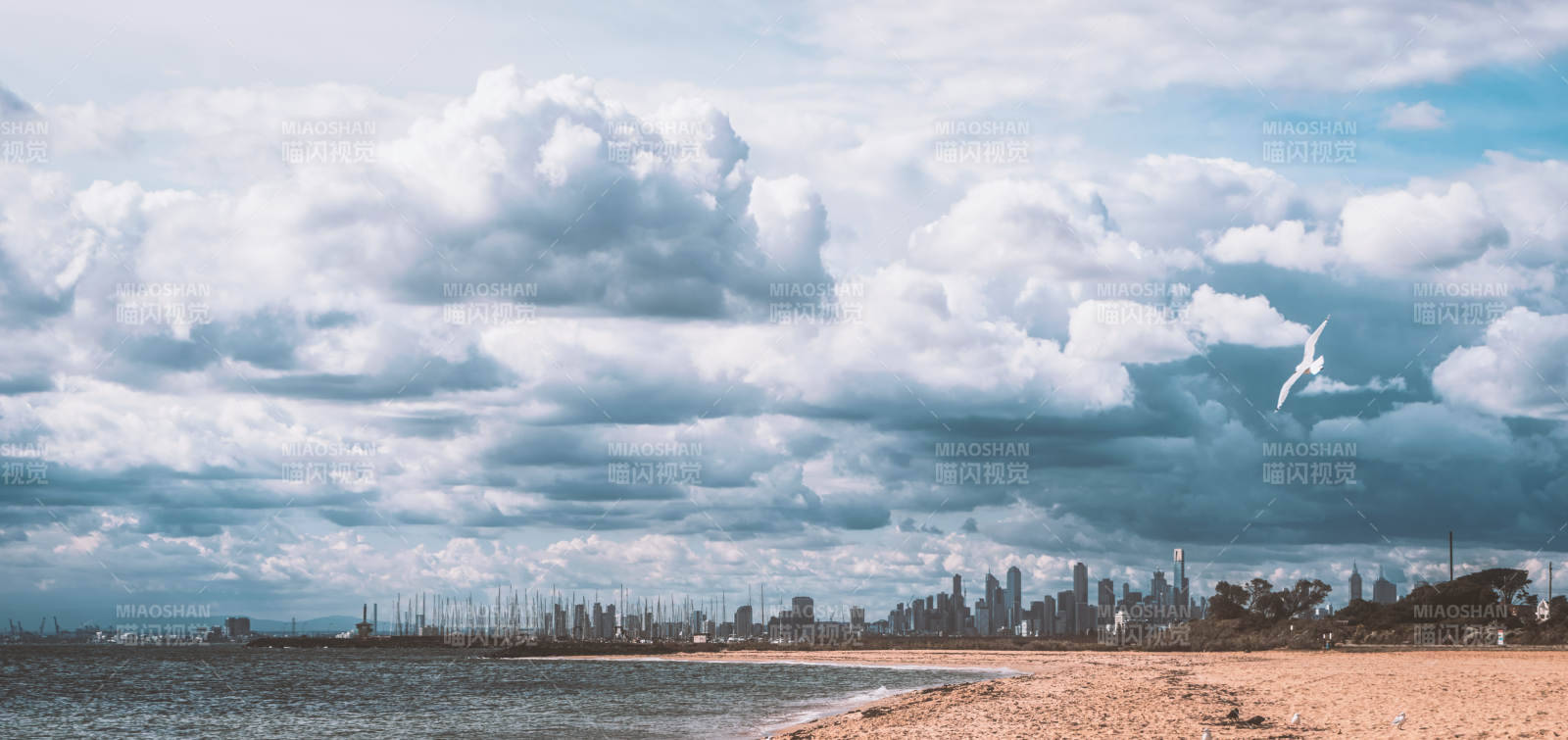 墨尔本城市天际线与海滩图片