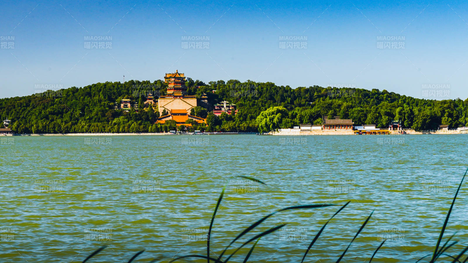 颐和园 湖光山色映古塔图片
