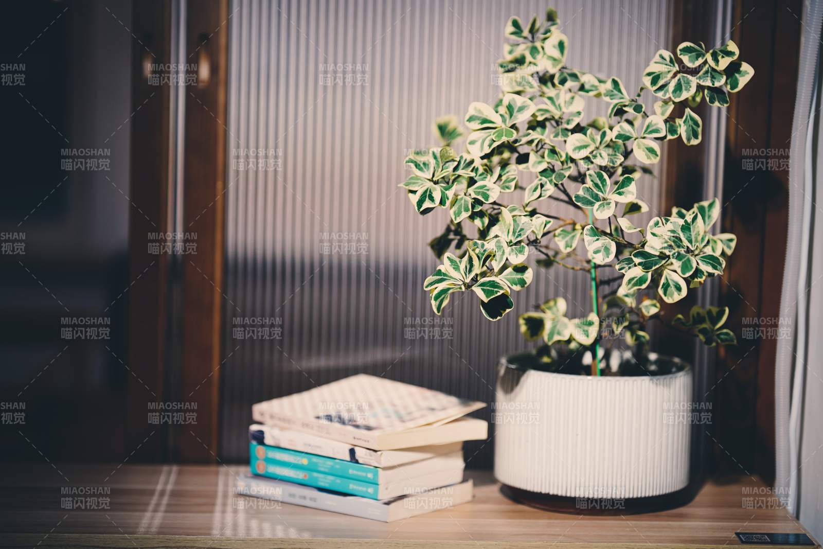 绿植与书相伴图片