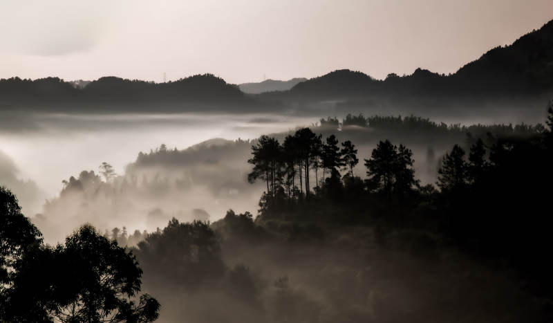 雾锁山林图片