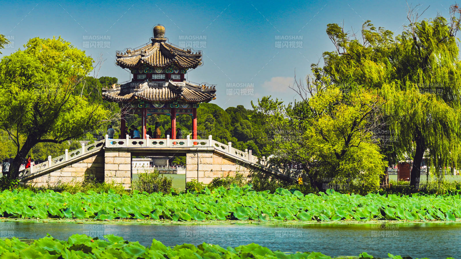 颐和园湖畔古亭绿意浓图片