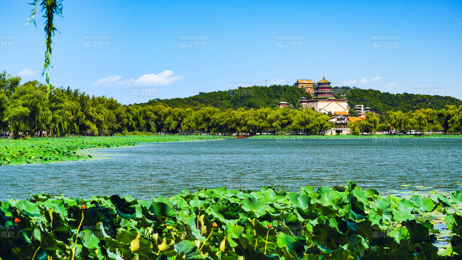 颐和园湖光山色映古塔图片