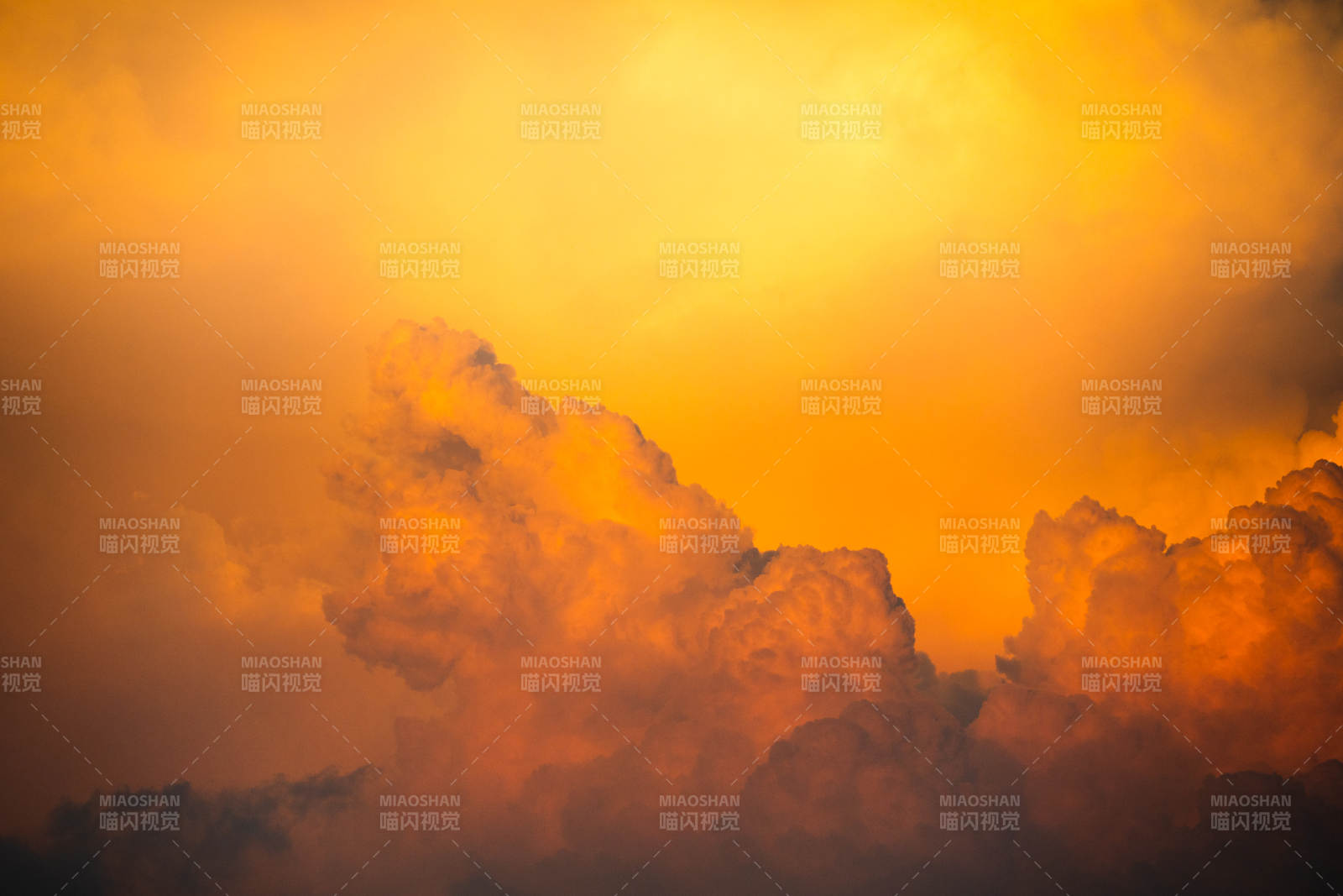 金色云海日落时图片