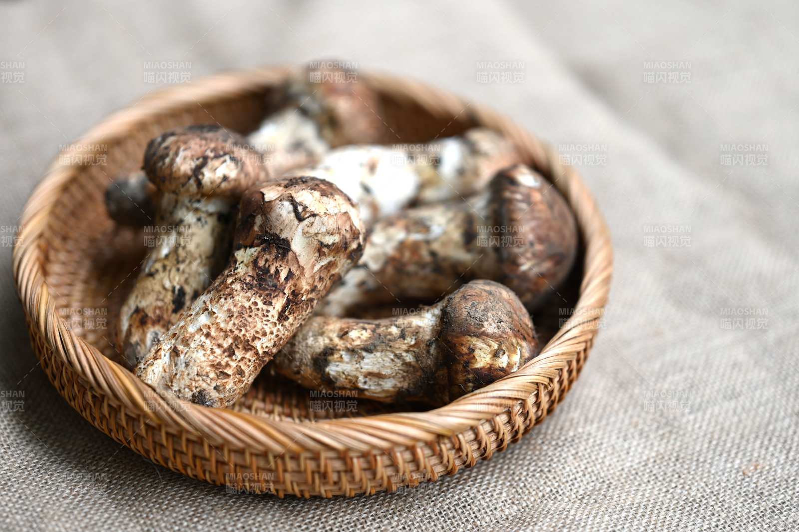 松茸鲜美入篮中图片