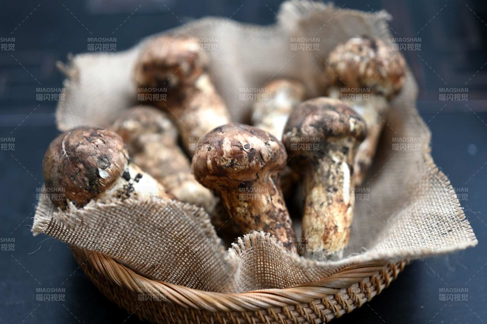 松茸篮中静置图片