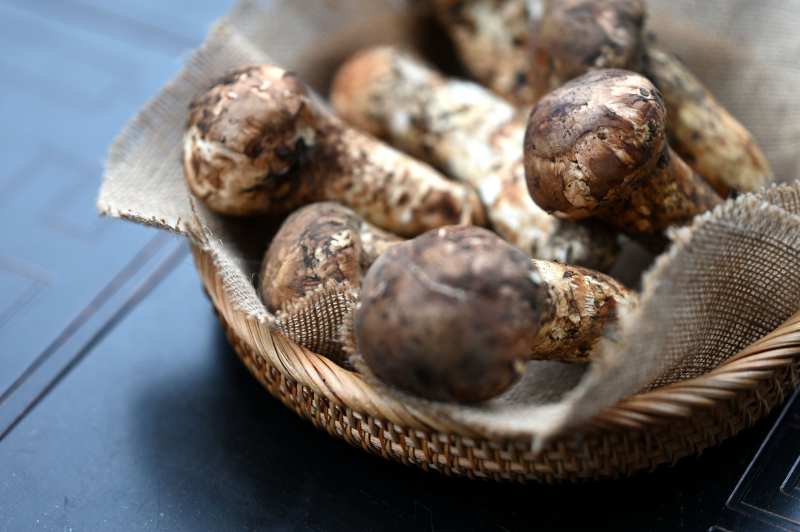 新鲜松茸入篮图片