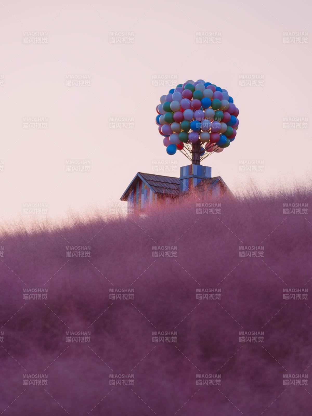 气球屋梦游紫野图片