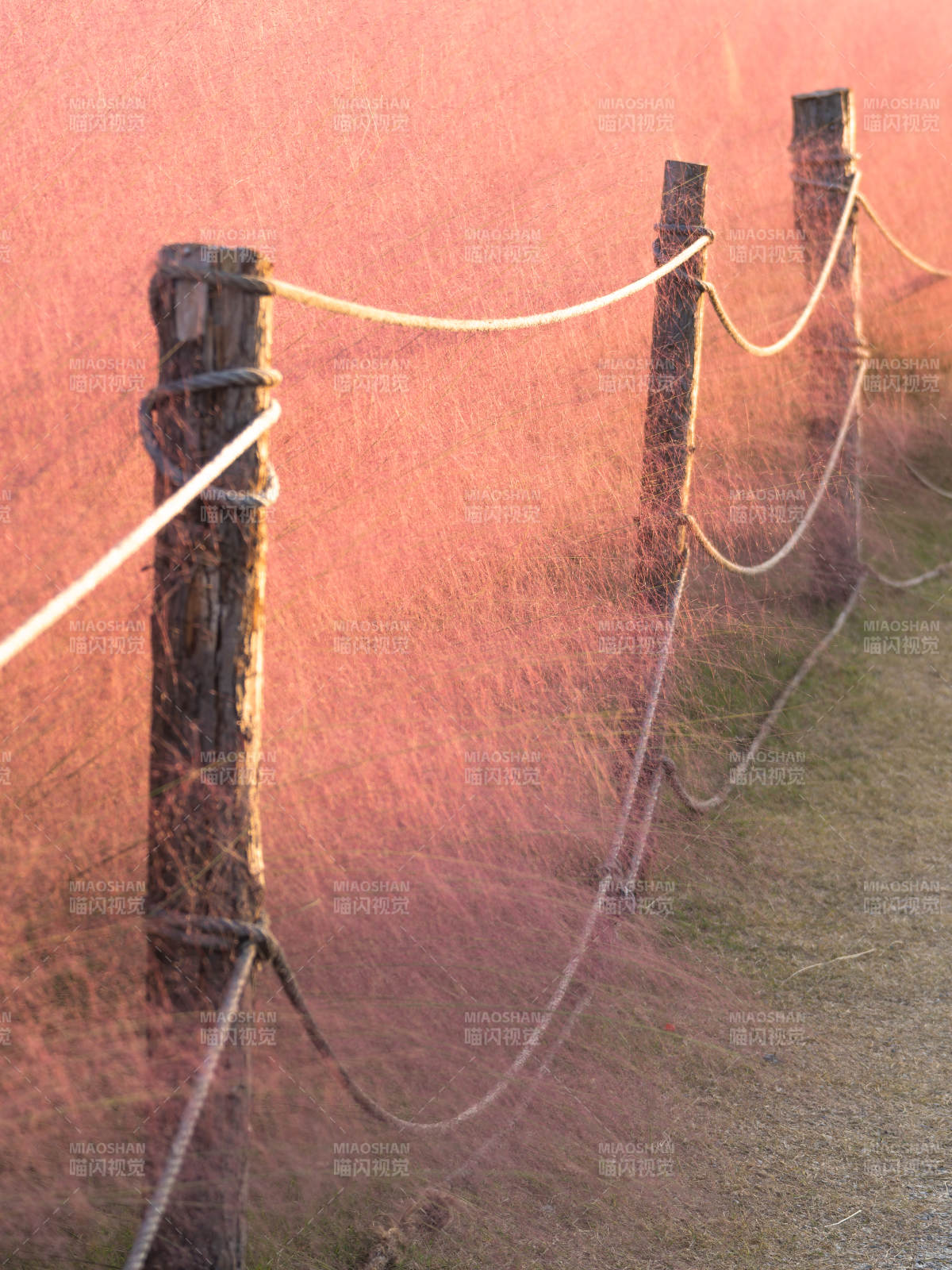 夕阳下的围栏图片