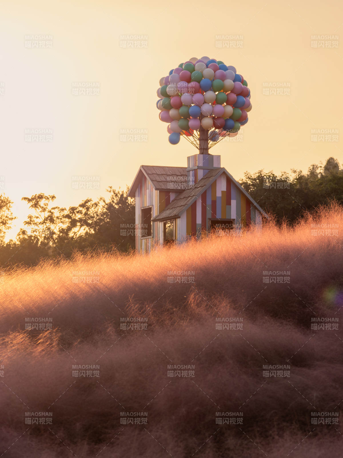 汤山矿坑公园气球屋漂浮在花海图片