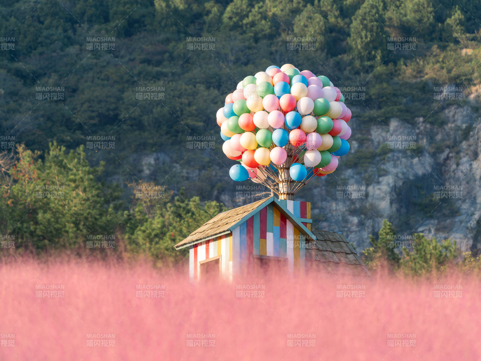 汤山矿坑公园气球屋漂浮花海图片