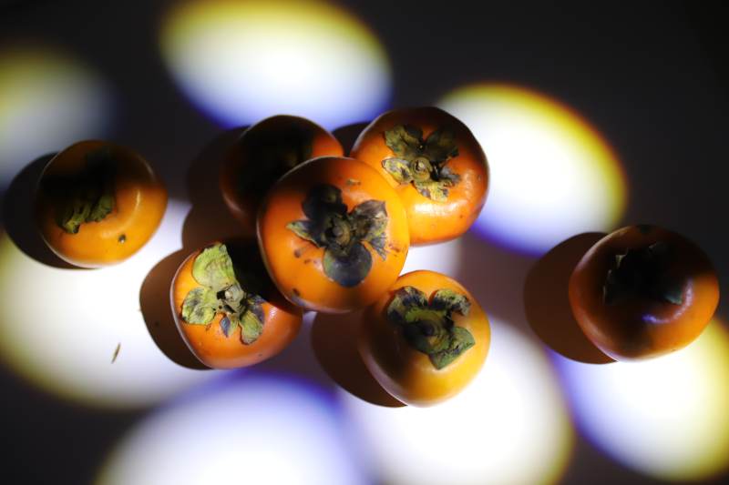 柿子光影交错图片