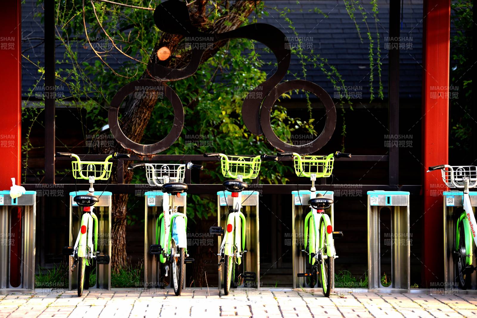 共享单车停放点图片