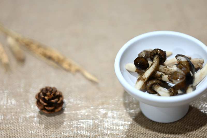 松茸小碗静物图片