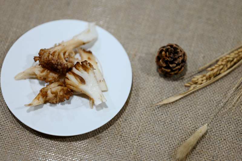 甘孜州野生珊瑚菌图片