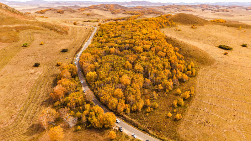 乌兰布统秋林公路航拍图片