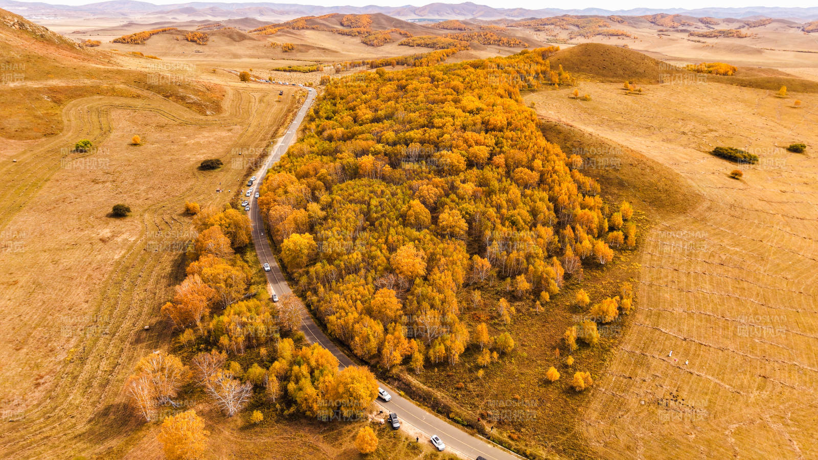 乌兰布统秋林公路航拍图片