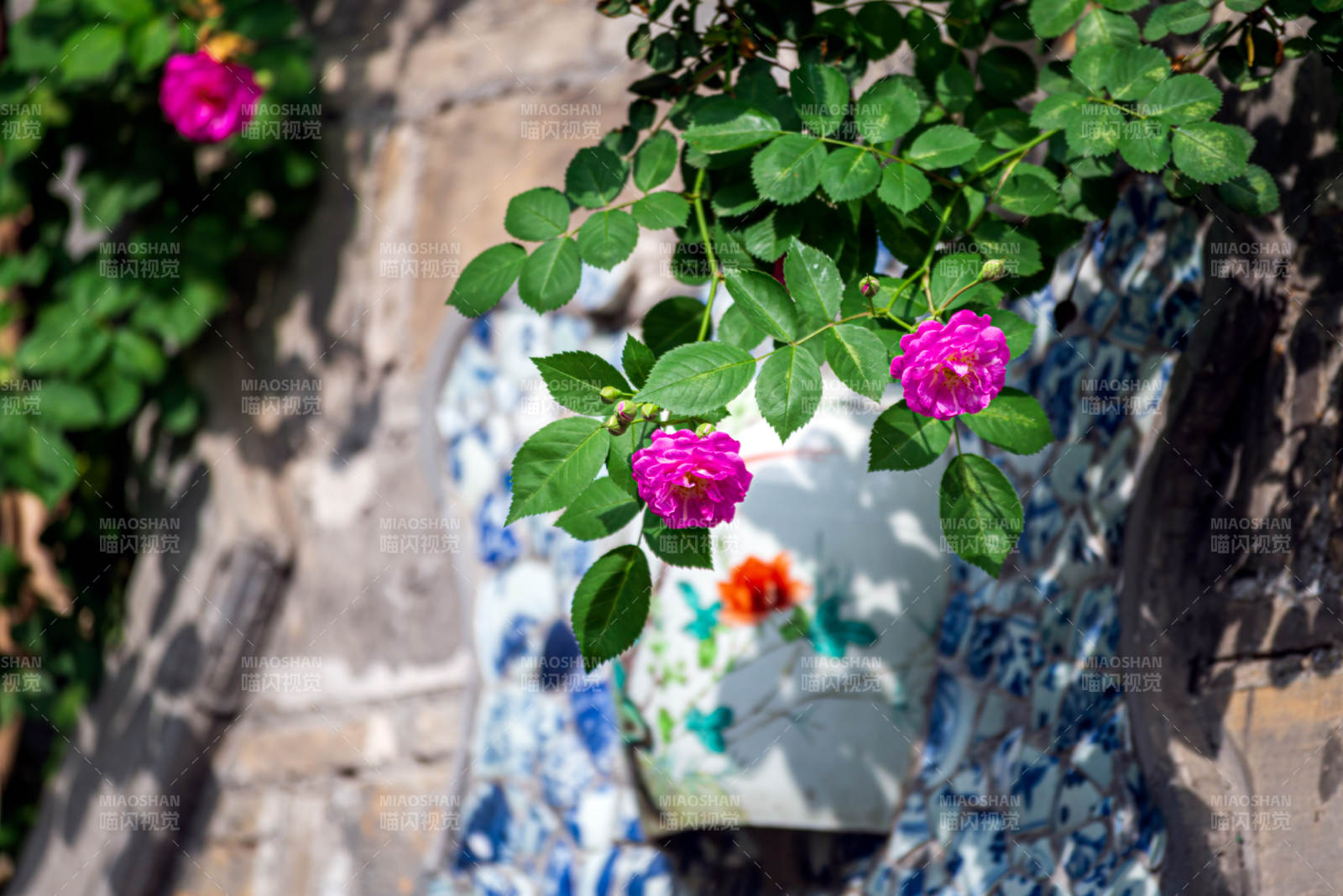 粉花绿叶映青砖图片