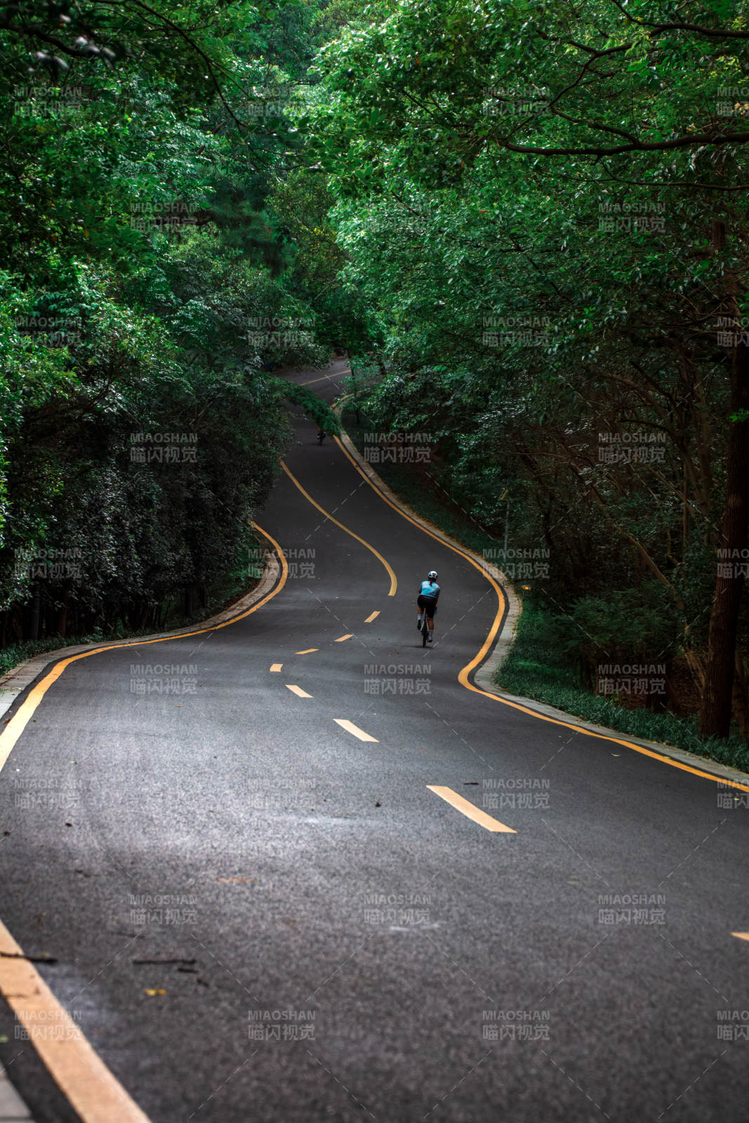 林间骑行图片