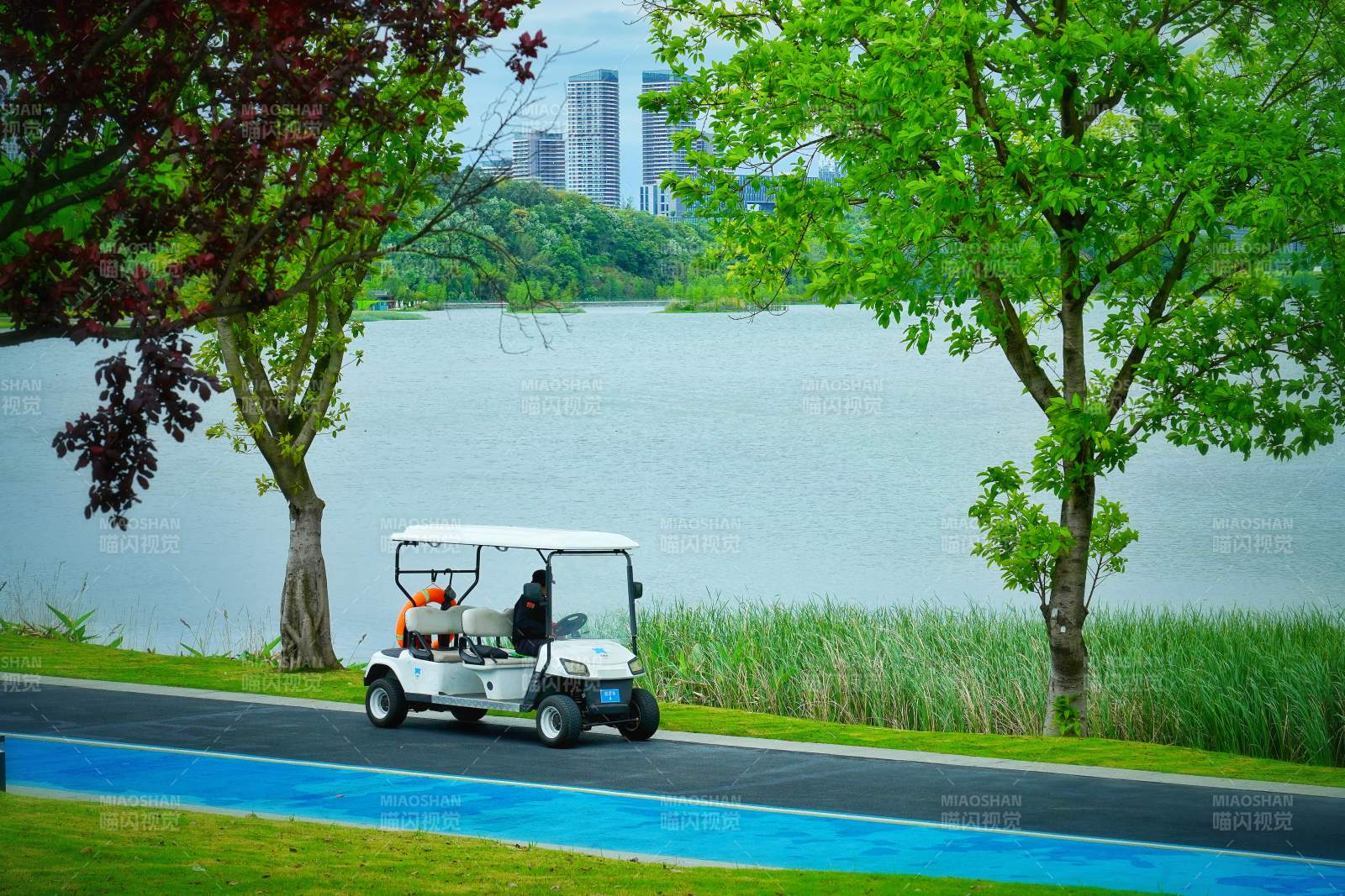 湖畔高尔夫车驰骋图片