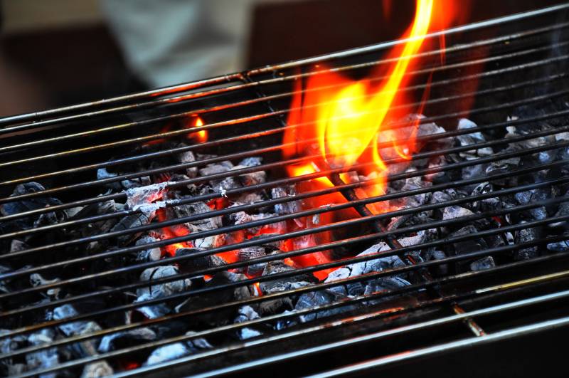 炭火烧烤图片