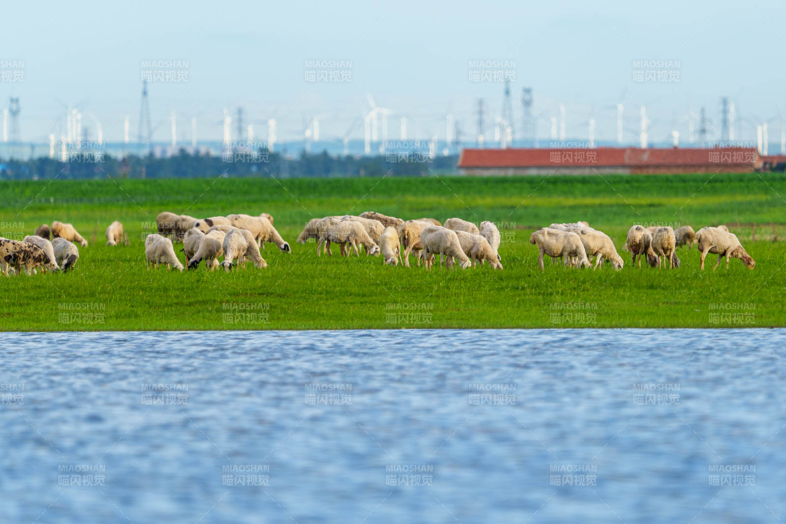 湖畔牧羊图 张北草原图片
