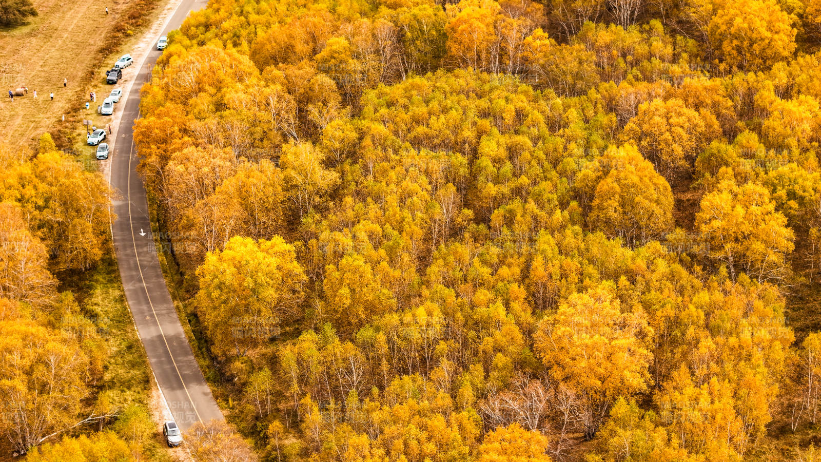 乌兰布统秋林公路美景图片