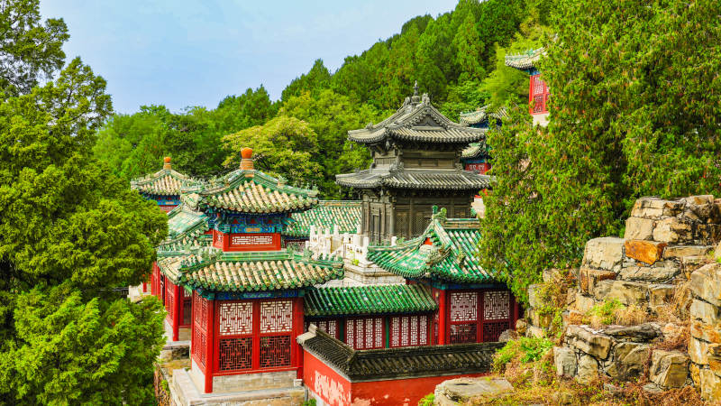 颐和园古寺隐于绿林间图片