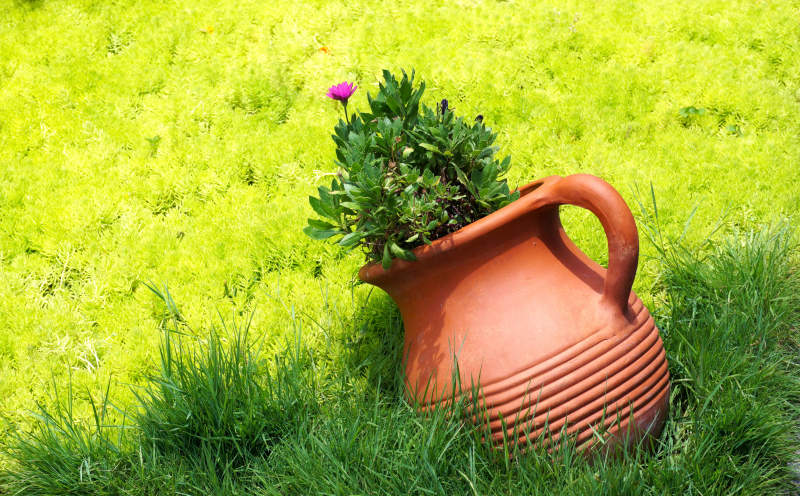 陶罐花植绿草地图片