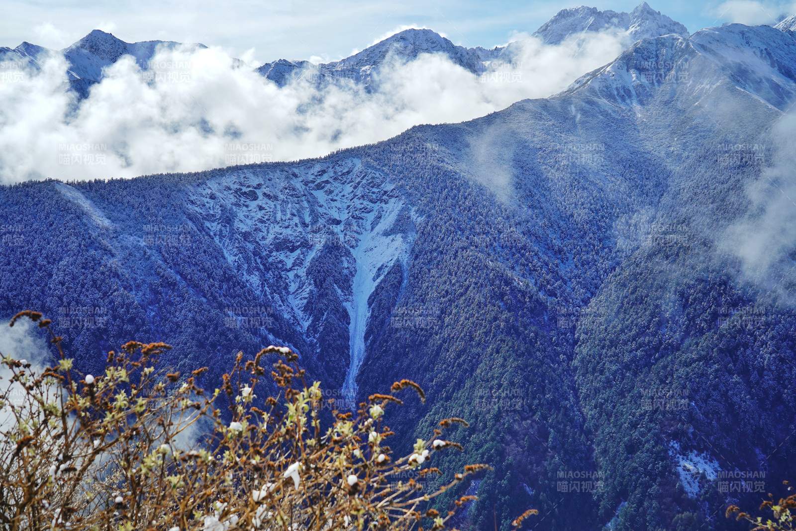 巴郎山的风景图片