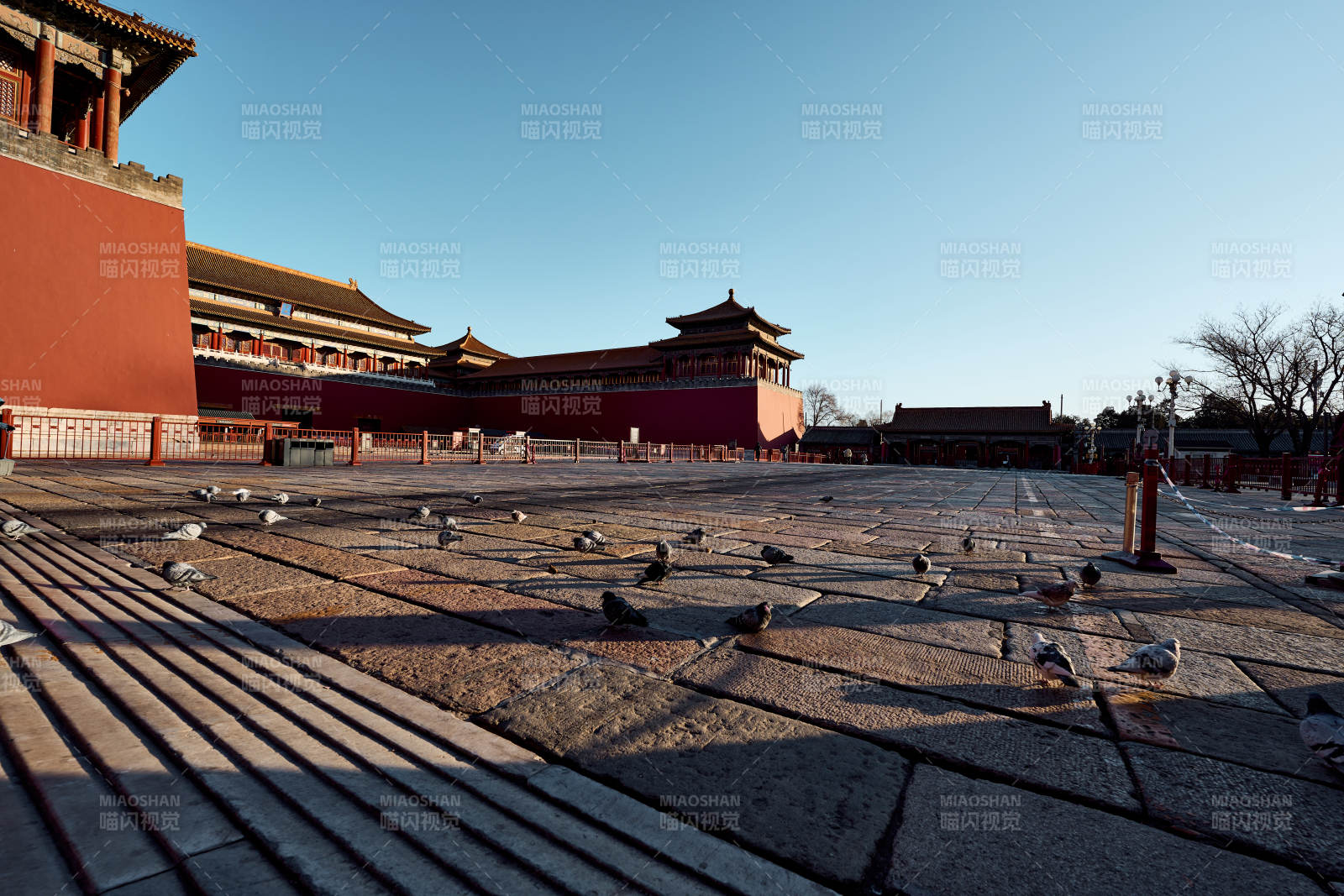 故宫午门广场鸽影图片