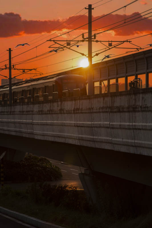 夕阳下的列车图片