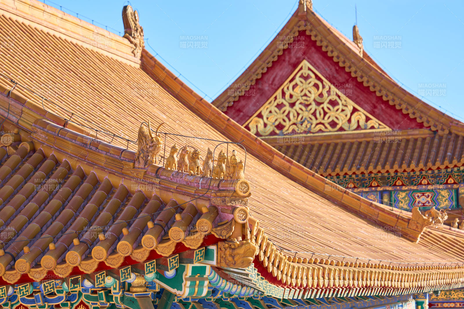 北京故宫金顶风光图片