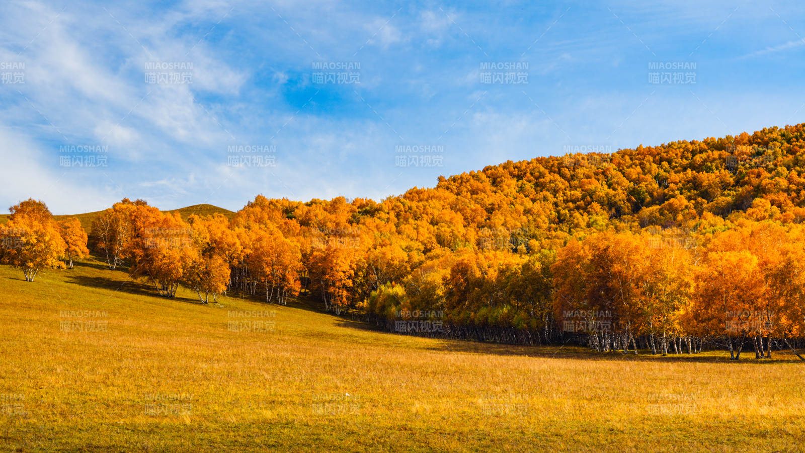 内蒙美林谷秋日山林美景图片
