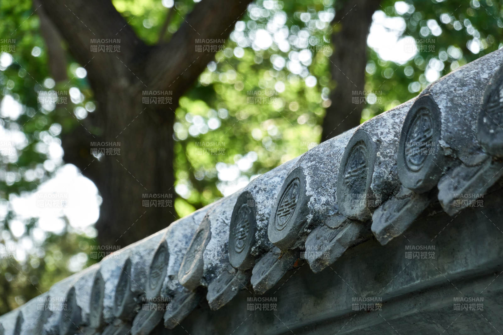 古瓦檐下绿树影图片