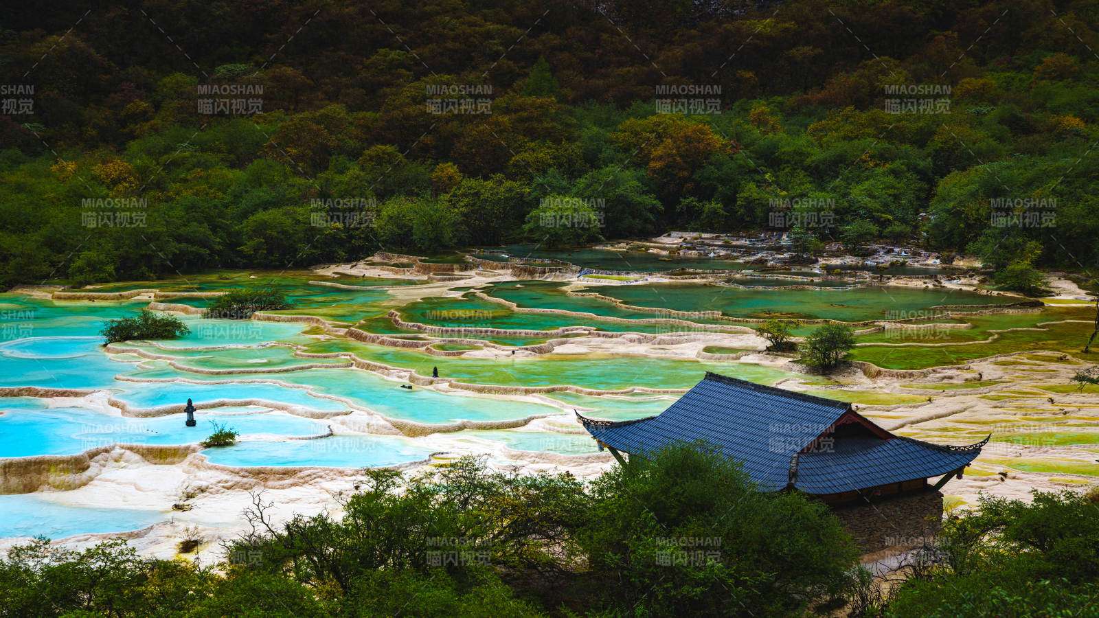 彩池映翠林  黄龙景区图片