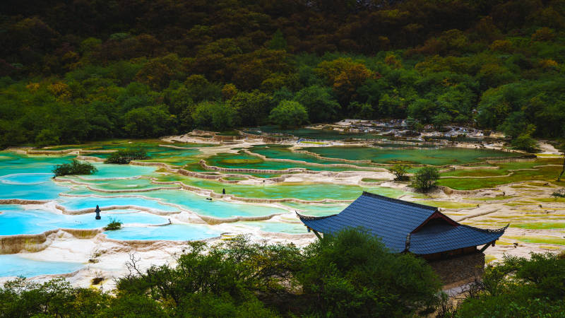彩池映翠林  黄龙景区图片