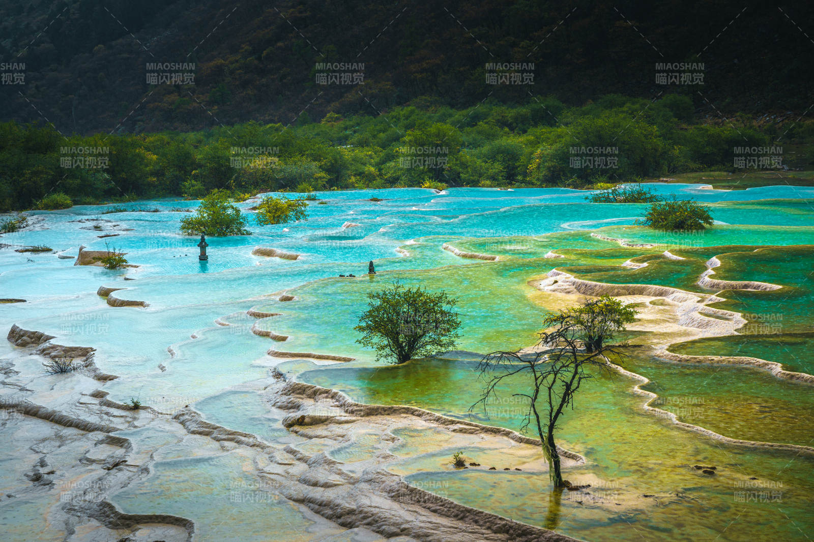 碧水绿洲奇景  黄龙景区图片