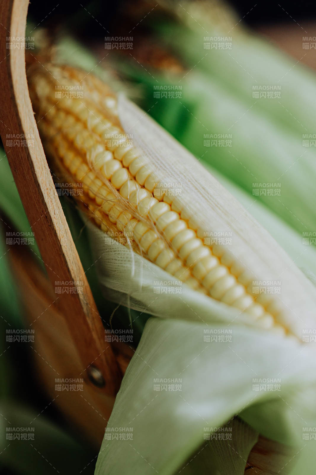 新鲜玉米特写图片