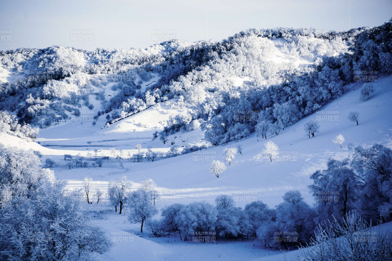 雪覆山林静谧景图片