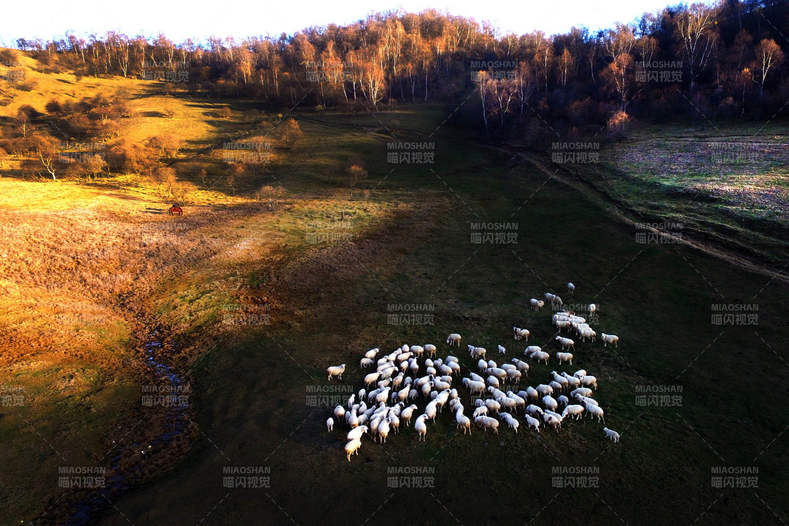 秋日牧羊图图片