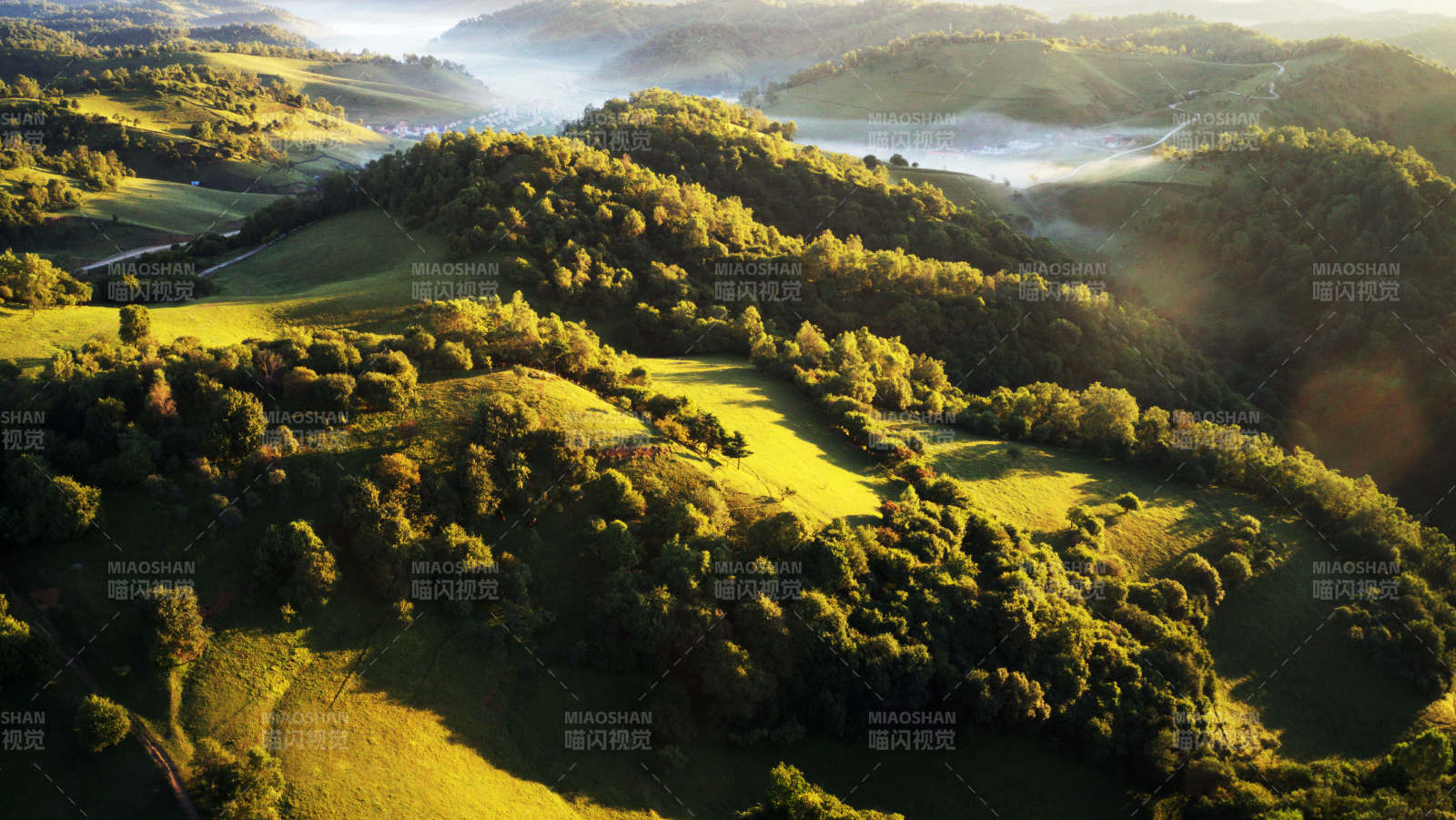 晨曦山谷绿意盎然图片