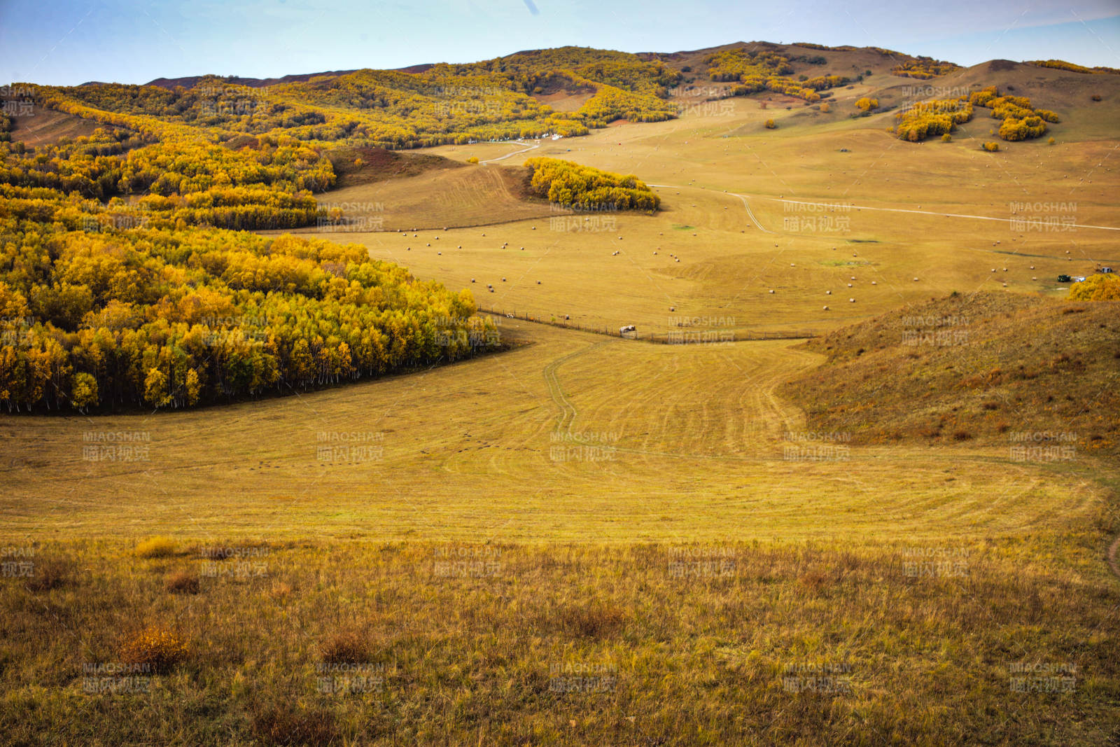 乌兰布统秋日草原风光图片