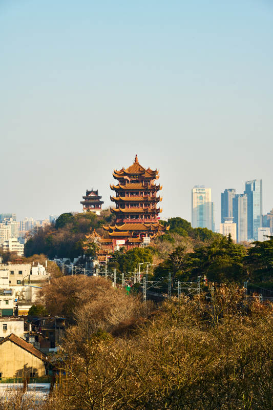 黄鹤楼春景图片